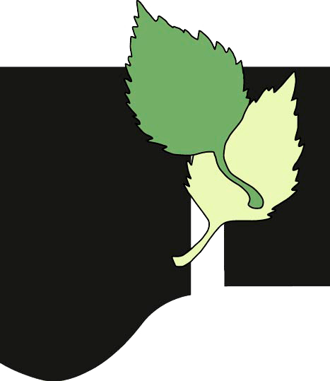 Birkebakken og Birkeskolens logo